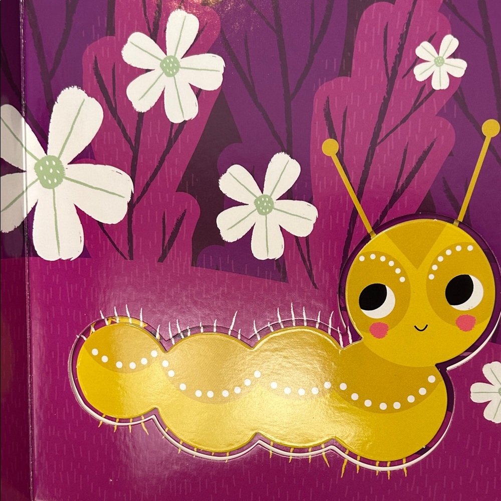 You're My Little Board Book Set - Cuddle Bug & Honey Bunny - Picture 5 of 5